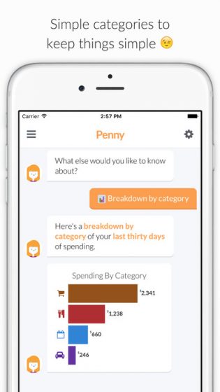 penny-ios-chatbot-app-screen