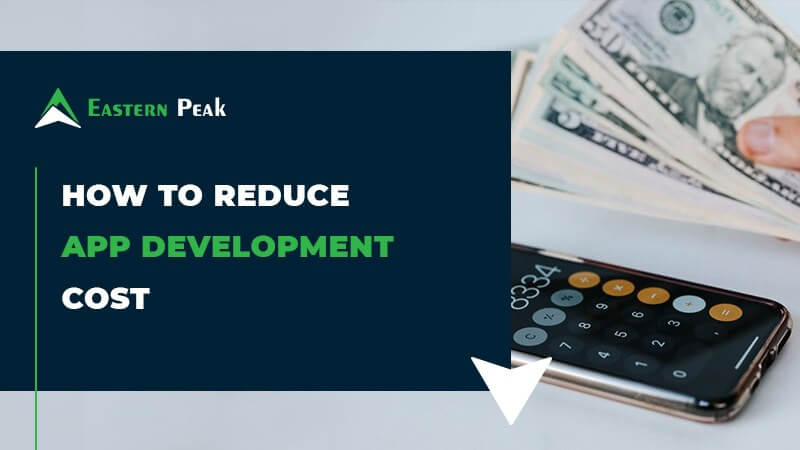 How To Reduce App Development Cost